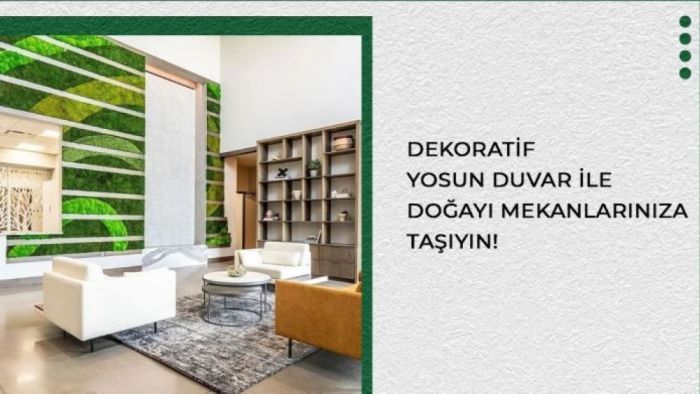 Dekoratif Yosun İle Evinize Doğayı Getirin