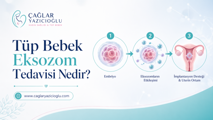 Tüp Bebek Eksozom Tedavisi Nedir?