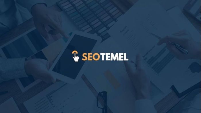 Backlink Satın Alma Rehberi ile Doğru Ajansı Seçin